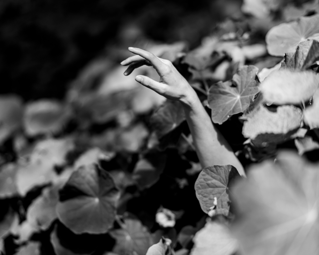 Black and white hand emerging from the leaves