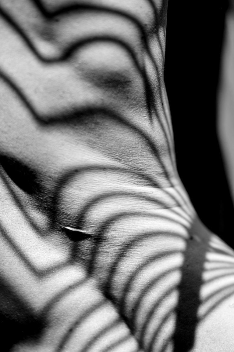 Back with shadows and scar